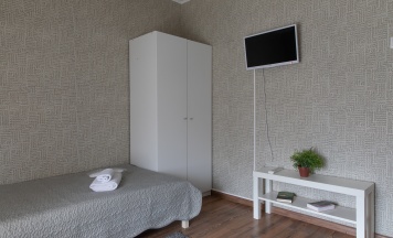 Двухместный однокомнатный номер "Стандарт" в мансарде в Panfilof