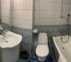 Номер комфорт с 1 двуспальной кроватью в Губернский