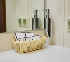 Standart "City" в The Bridge hotel