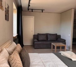 Апартаменты c 1 комнатой в Квартира Rich House на Чапаева 23