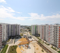 Абрикос 244 в Neoroom Service