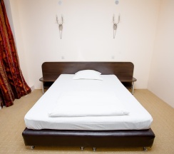 Номер стандарт с 1 двуспальной кроватью в Астория