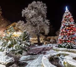 Provence стандарт с балконом в Лель