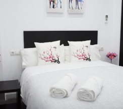 Двухместный номер Economy двуспальная кровать в AYZ Frailes - Auto check-in property