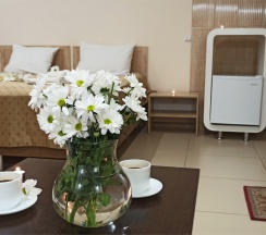 Двухместный номер (улучшенный двухместный номер с кроватью king-size) в Spa-hotel Plaza
