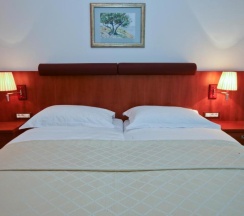 Двухместный номер Standard 2 отдельные кровати в Hotel Croatia