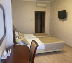 Стандартный двухместный номер Twin в Plaza Essentuki