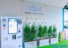 Двухместный номер Standard двуспальная кровать в CBD Hotel Suratthani