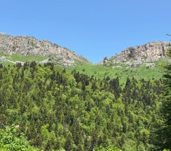Двухкомнатный полулюкс с балконом в Black Rock Garden