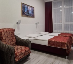 Стандартный номер с 2 односпальными кроватями в Репин