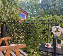 Делюкс с балконом в Пассаж