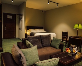 Двухместная студия двуспальная кровать в Dastan Hotel Aktobe