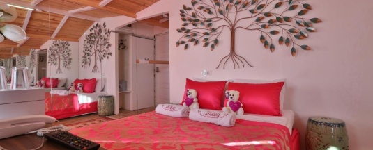 Двухместный люкс Romantic двуспальная кровать в Club Hotel Anjeliq