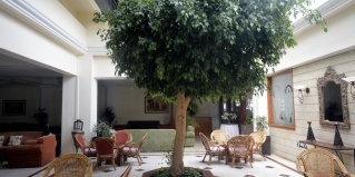 Пафос: Отель Avlida Hotel