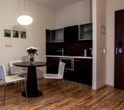 Апартаменты Business c 1 комнатой в Ararat All Suites Hotel