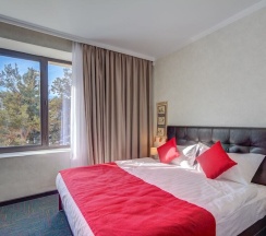 Двухместный номер Standard двуспальная кровать в Отель My Hotel Karakol