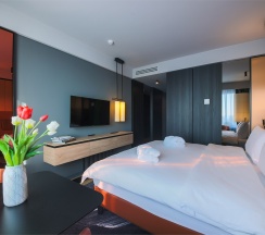 Mercure Comfort в Mercure Hotel and Residences Saint Petersburg
