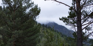 Чемальский район: Глэмпинг Куба Алтай