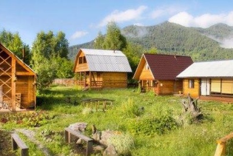 Мульта: Турбаза Алтайна 1*