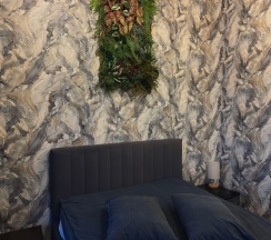 Номер стандарт в Family Park