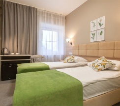 Санаторий - Стандартный двухместный номер с двумя раздельными кроватями в Полисть