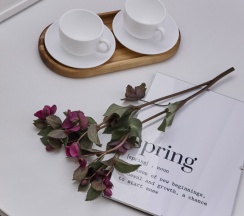 Бюджетный номер с раскладывающийся кроватью в Наше радушие