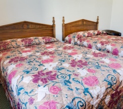 Двухместный номер Standard 2 отдельные кровати в Aida Plaza Hotel
