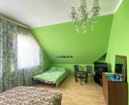 Двухместный номер Classic (двуспальная кровать) в Green Roof