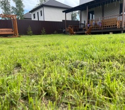 Дом в Ёлочки