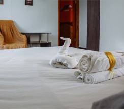 Улучшенный номер с 1 двухместной кроватью в Dom hostel