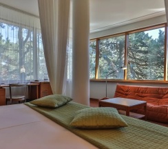 Двухместный номер Deluxe двуспальная кровать в Отель Palanga Life Balance SPA