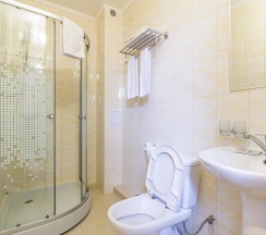 Стандарт в Аист