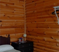 Двухместный эконом              (в корпусах №1 №3) в Лесное поместье