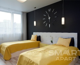 Твин в Smart apart