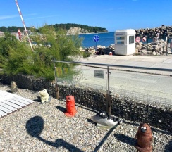 Коттедж стандарт в Русское море