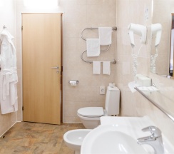 Комфорт-бизнес (Люкс; пакет СПА не включен) в Москва