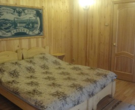 Номер стандарт с 1 двуспальной кроватью в Старое русло