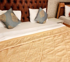 Номер Superior в Golden Rose Hotel