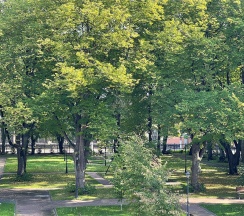 Люкс  романтический с видом в парк, с кондиционером в Усадьба адмирала Лазарева