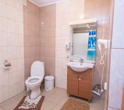 Джуниор сюит №10/4 в Золотой Лев