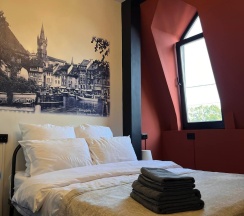 Номер стандарт с 1 двуспальной кроватью Альтштадт в Прусс