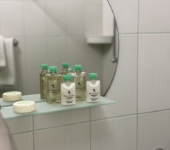 Стандартный трехместный номер в Эдельвейс