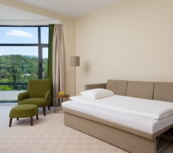 Двухместный люкс 2 отдельные кровати в Green Resort