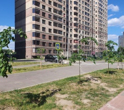 Квартира в Апартаменты на северное шоссе 36