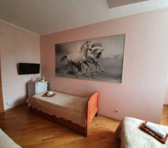 Стандарт 4х мест. в Black Wood