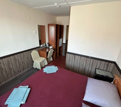 Одноместный номер Эконом в Улисс