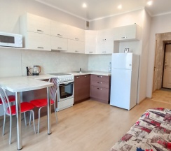 Квартира в Апартаменты на антона петрова 221д, кв118
