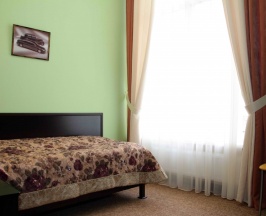 Одноместный однокомнатный номер стандарт в Ника