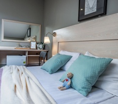 Трёхместный номер Comfort Мансарда в Невский Астер