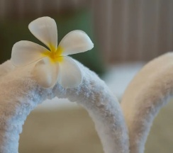 Номер Grand в Niranapa Boutique Resort